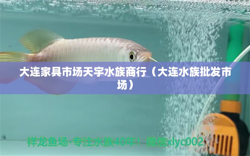 大连家具市场天宇水族商行（大连水族批发市场）