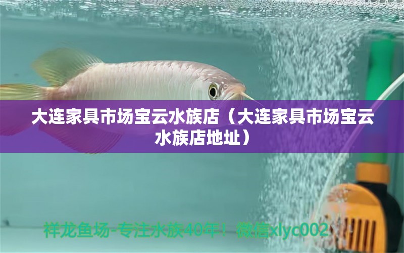 大连家具市场宝云水族店（大连家具市场宝云水族店地址）