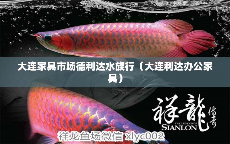 大连家具市场德利达水族行（大连利达办公家具）