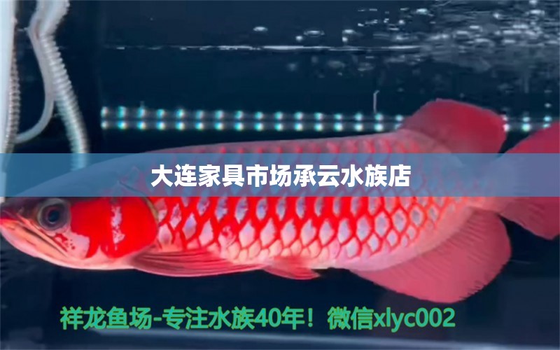 大连家具市场承云水族店