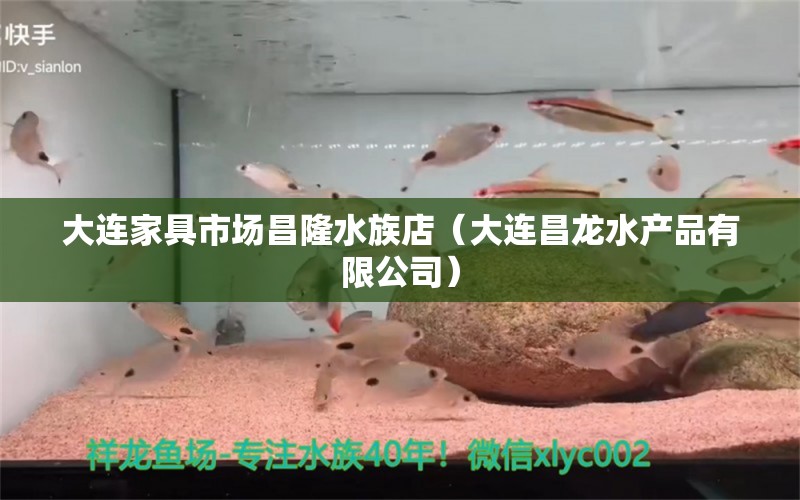 大连家具市场昌隆水族店（大连昌龙水产品有限公司） 全国水族馆企业名录