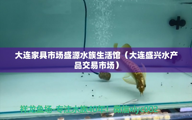 大连家具市场盛源水族生活馆（大连盛兴水产品交易市场） 全国水族馆企业名录