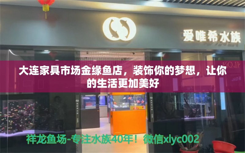 大连家具市场金缘鱼店，装饰你的梦想，让你的生活更加美好