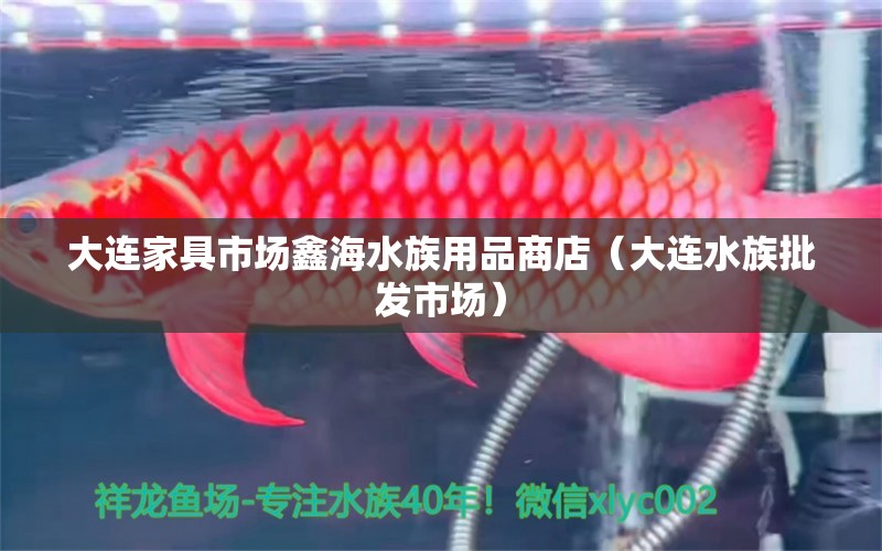 大连家具市场鑫海水族用品商店（大连水族批发市场）