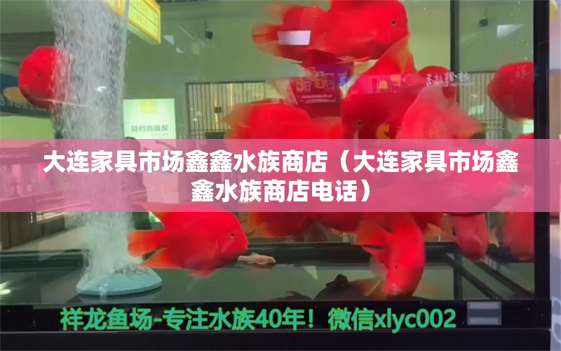 大连家具市场鑫鑫水族商店（大连家具市场鑫鑫水族商店电话） 全国水族馆企业名录