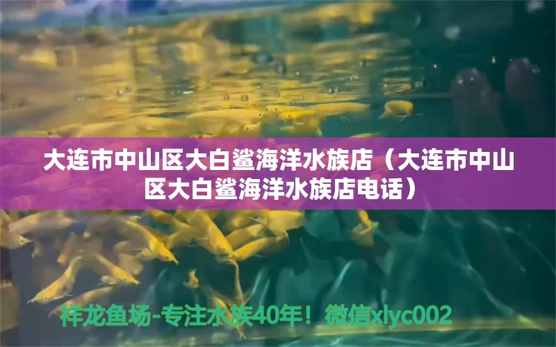 大连市中山区大白鲨海洋水族店（大连市中山区大白鲨海洋水族店电话）