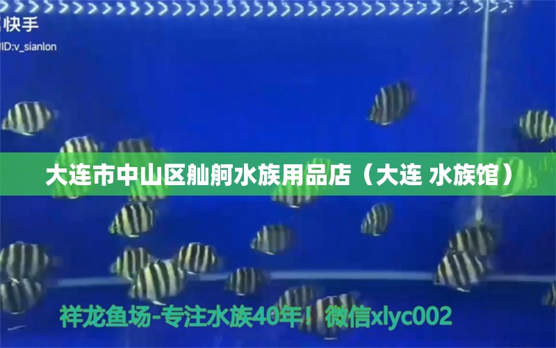 大连市中山区舢舸水族用品店（大连 水族馆） 水族用品