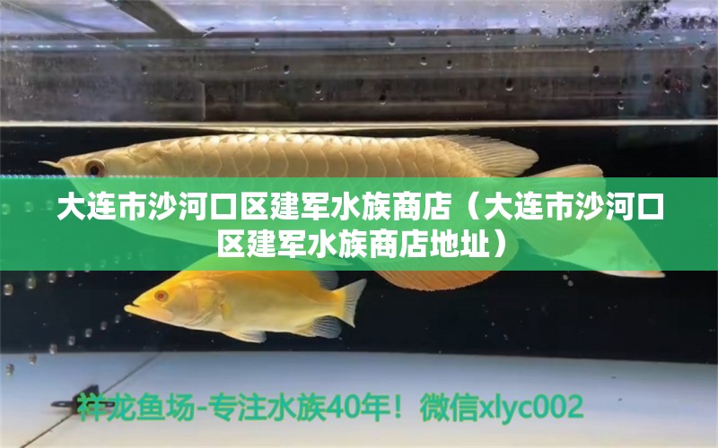 大连市沙河口区建军水族商店（大连市沙河口区建军水族商店地址）