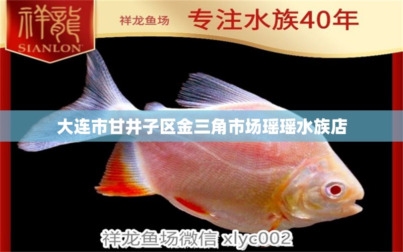 大连市甘井子区金三角市场瑶瑶水族店 全国水族馆企业名录