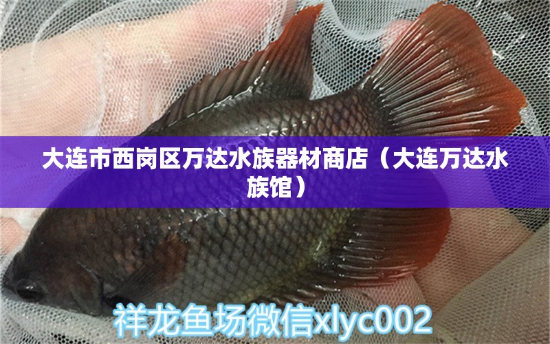 大连市西岗区万达水族器材商店（大连万达水族馆） 全国水族馆企业名录