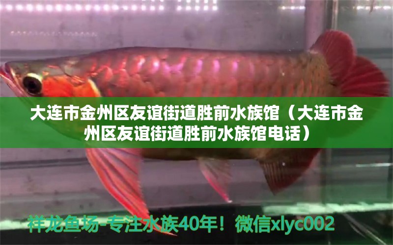 大连市金州区友谊街道胜前水族馆（大连市金州区友谊街道胜前水族馆电话） 全国水族馆企业名录