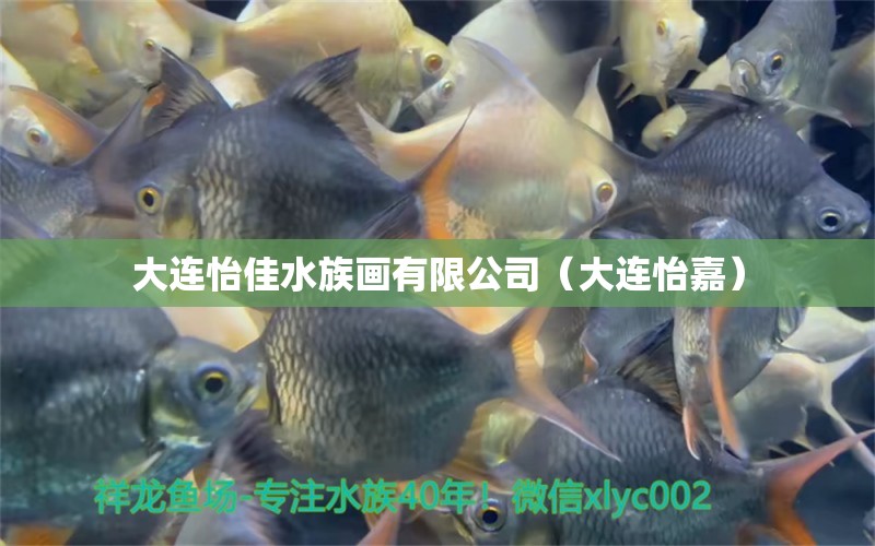 大连怡佳水族画有限公司（大连怡嘉） 全国水族馆企业名录