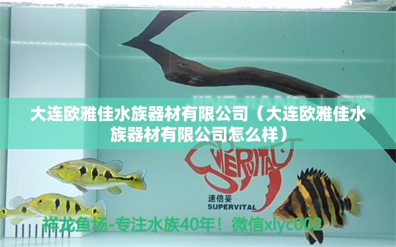 大连欧雅佳水族器材有限公司（大连欧雅佳水族器材有限公司怎么样）