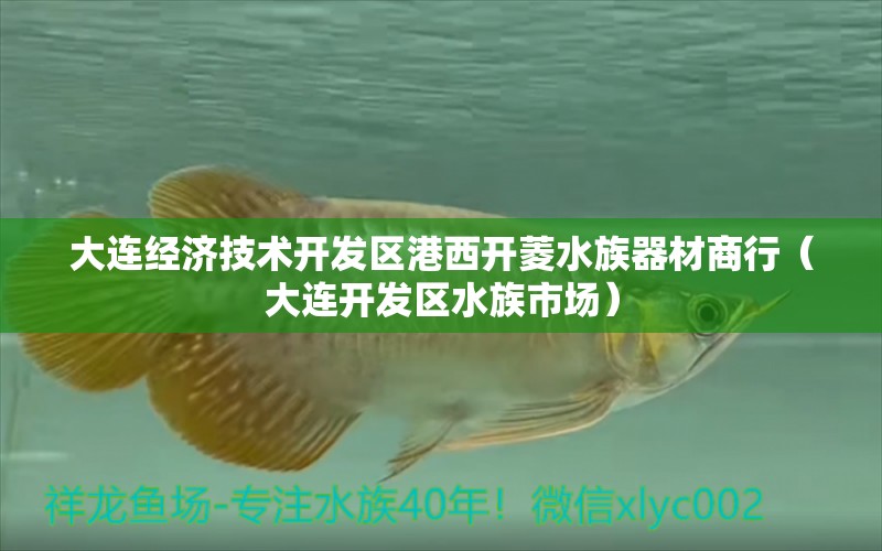 大连经济技术开发区港西开菱水族器材商行（大连开发区水族市场）