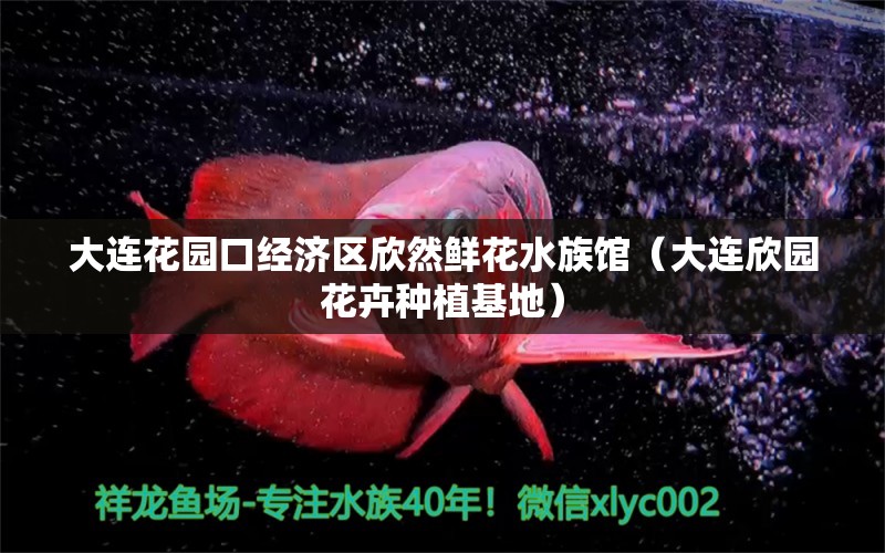 大连花园口经济区欣然鲜花水族馆（大连欣园花卉种植基地）