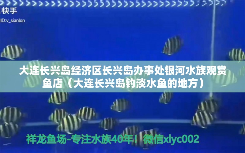 大连长兴岛经济区长兴岛办事处银河水族观赏鱼店（大连长兴岛钓淡水鱼的地方）