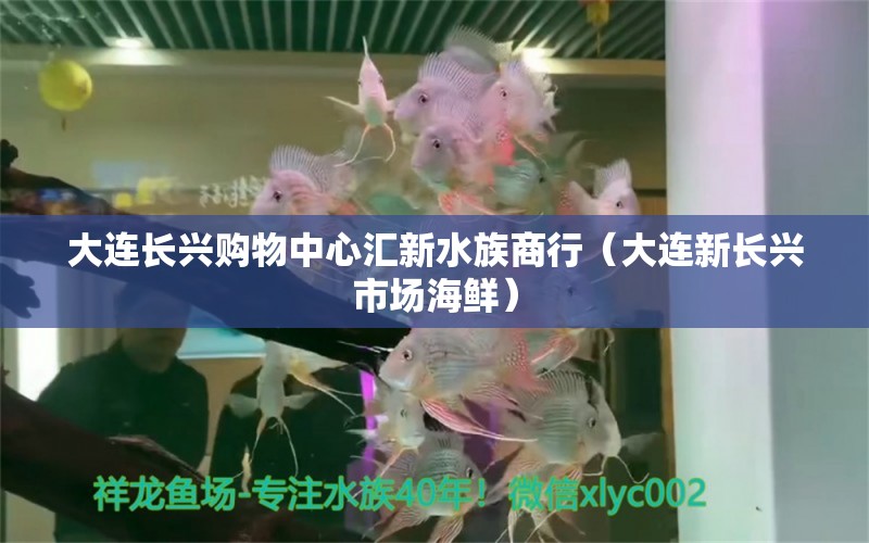 大连长兴购物中心汇新水族商行（大连新长兴市场海鲜）