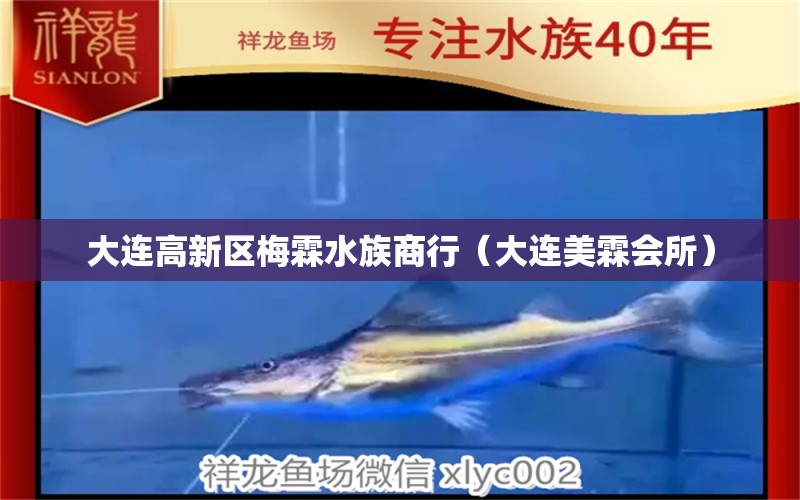 大连高新区梅霖水族商行（大连美霖会所） 全国水族馆企业名录