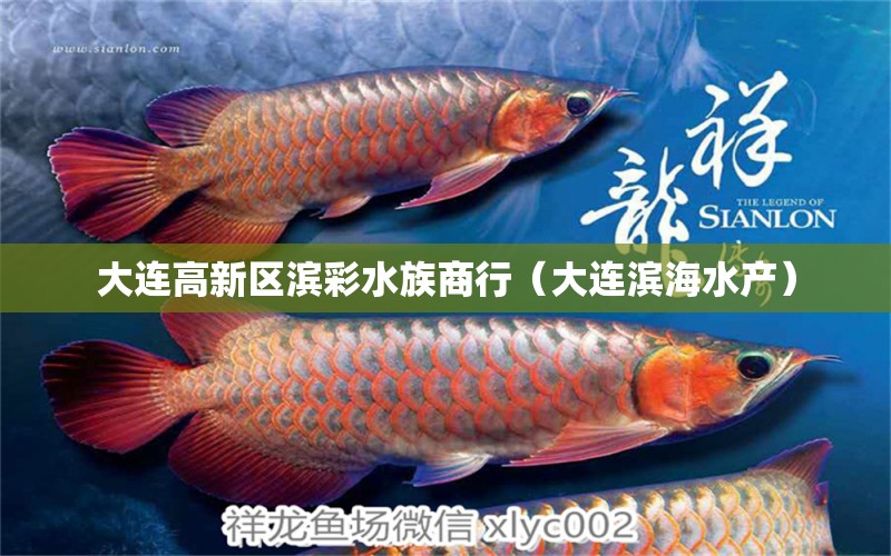 大连高新区滨彩水族商行（大连滨海水产）