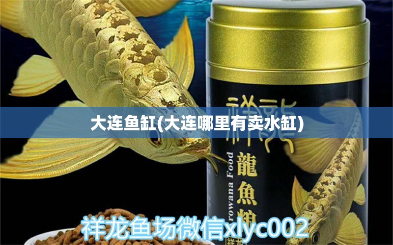 大连鱼缸(大连哪里有卖水缸) 鱼缸百科 第2张