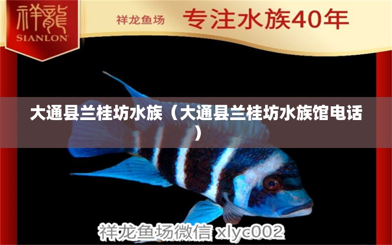 大通县兰桂坊水族（大通县兰桂坊水族馆电话）