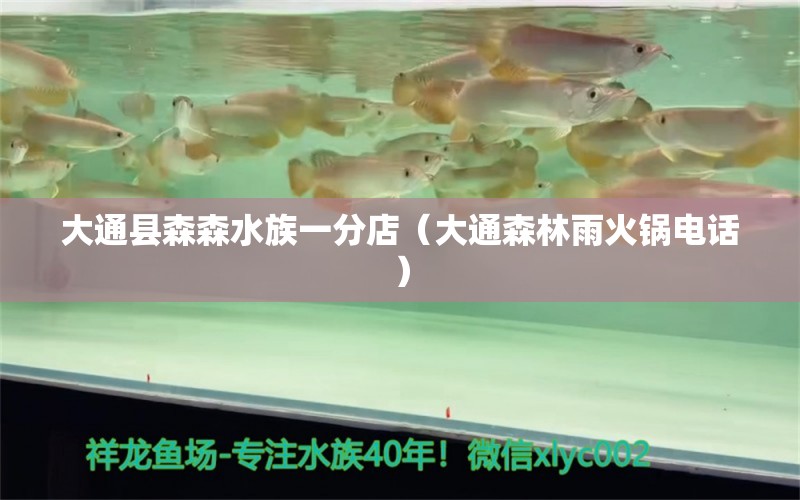 大通县森森水族一分店（大通森林雨火锅电话）