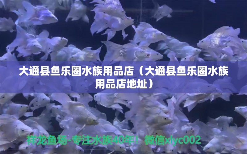 大通县鱼乐圈水族用品店（大通县鱼乐圈水族用品店地址） 水族用品