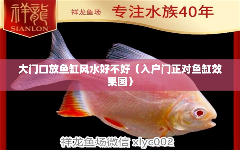 大门口放鱼缸风水好不好（入户门正对鱼缸效果图） 喂食器