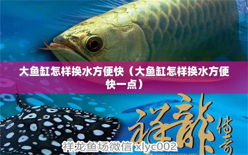 大鱼缸怎样换水方便快（大鱼缸怎样换水方便快一点） 海水鱼（海水鱼批发）