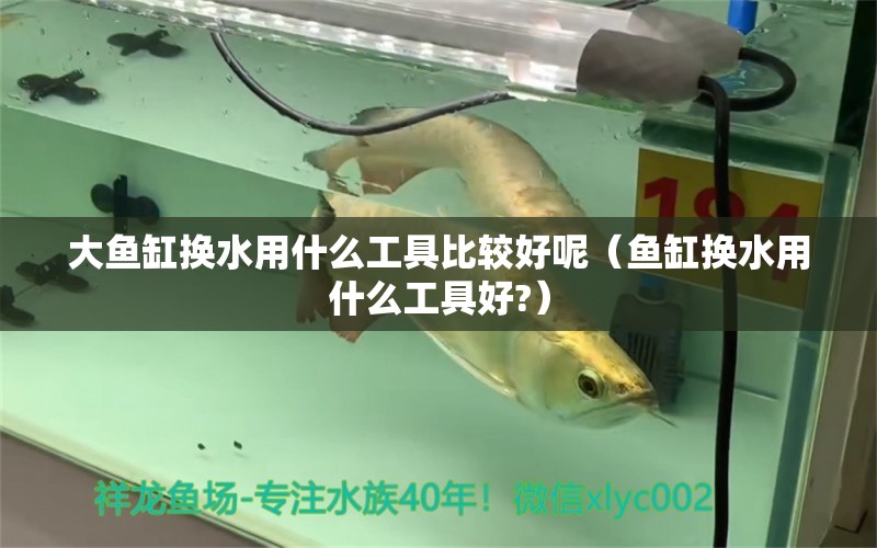 大鱼缸换水用什么工具比较好呢（鱼缸换水用什么工具好?）