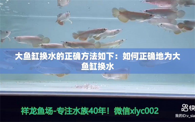 大鱼缸换水的正确方法如下：如何正确地为大鱼缸换水 鱼缸百科 第2张