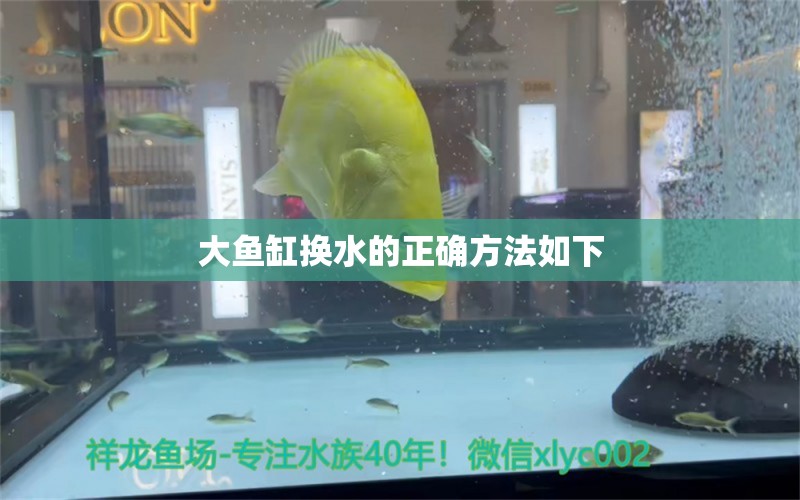 大鱼缸换水的正确方法如下 水族问答 第2张