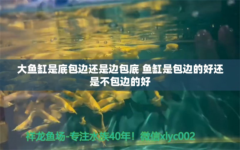 大鱼缸是底包边还是边包底 鱼缸是包边的好还是不包边的好