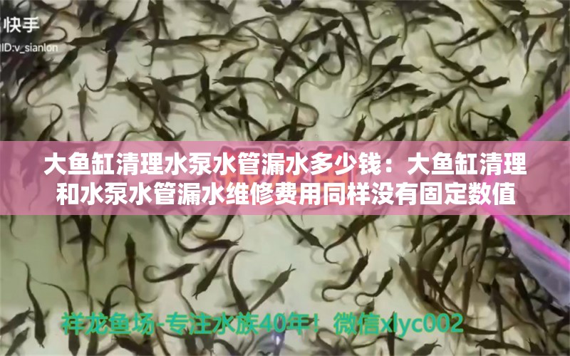 大鱼缸清理水泵水管漏水多少钱：大鱼缸清理和水泵水管漏水维修费用同样没有固定数值