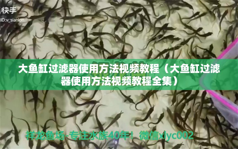 大鱼缸过滤器使用方法视频教程（大鱼缸过滤器使用方法视频教程全集）