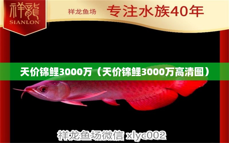 天价锦鲤3000万（天价锦鲤3000万高清图）