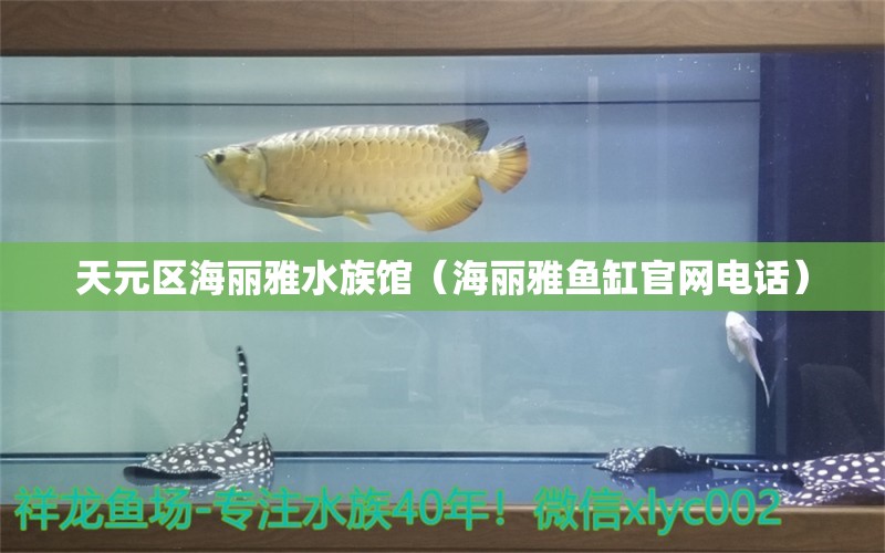 天元区海丽雅水族馆（海丽雅鱼缸官网电话）