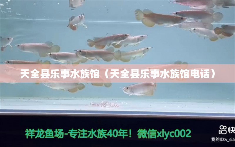 天全县乐事水族馆（天全县乐事水族馆电话）