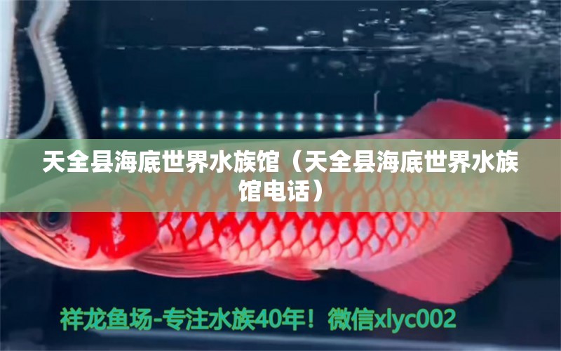 天全县海底世界水族馆（天全县海底世界水族馆电话） 全国水族馆企业名录