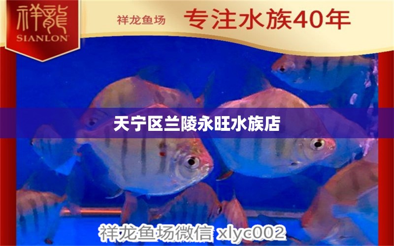 天宁区兰陵永旺水族店