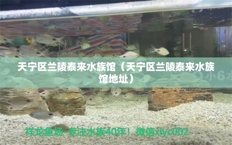 天宁区兰陵泰来水族馆（天宁区兰陵泰来水族馆地址）