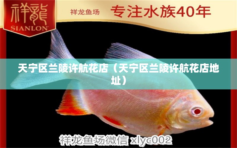 天宁区兰陵许航花店（天宁区兰陵许航花店地址） 全国水族馆企业名录