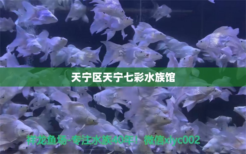 天宁区天宁七彩水族馆