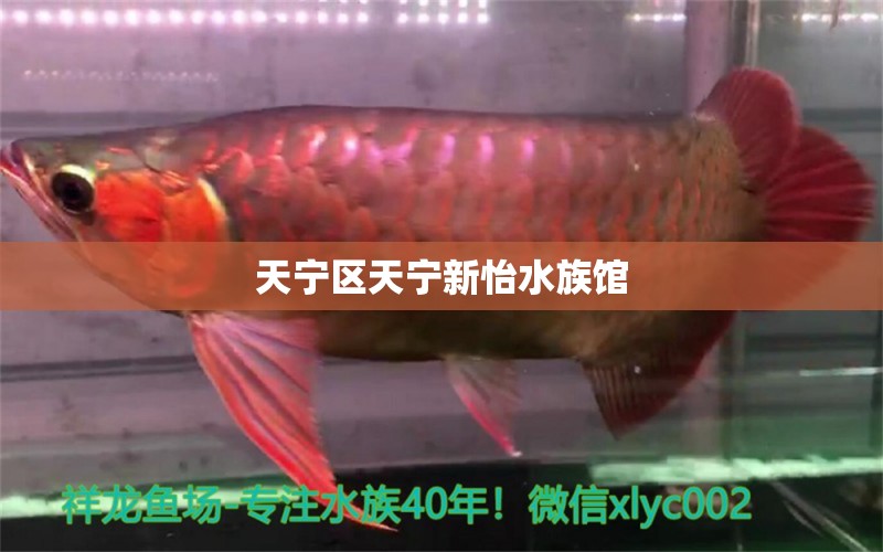 天宁区天宁新怡水族馆