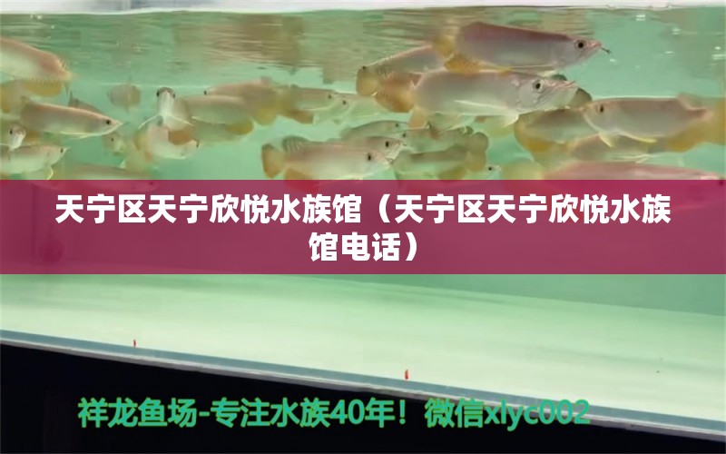 天宁区天宁欣悦水族馆（天宁区天宁欣悦水族馆电话）