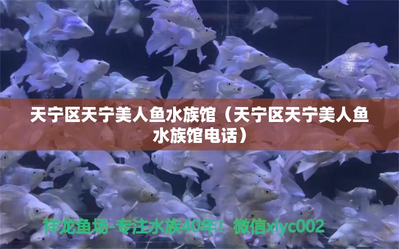 天宁区天宁美人鱼水族馆（天宁区天宁美人鱼水族馆电话）