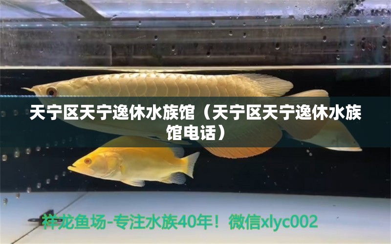 天宁区天宁逸休水族馆（天宁区天宁逸休水族馆电话）