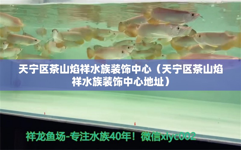 天宁区茶山焰祥水族装饰中心（天宁区茶山焰祥水族装饰中心地址）