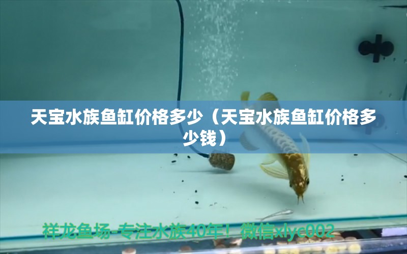 天宝水族鱼缸价格多少（天宝水族鱼缸价格多少钱）