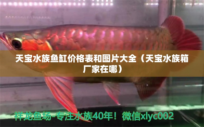 天宝水族鱼缸价格表和图片大全（天宝水族箱厂家在哪）